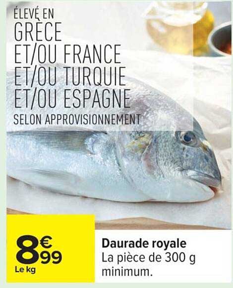 Daurade royale