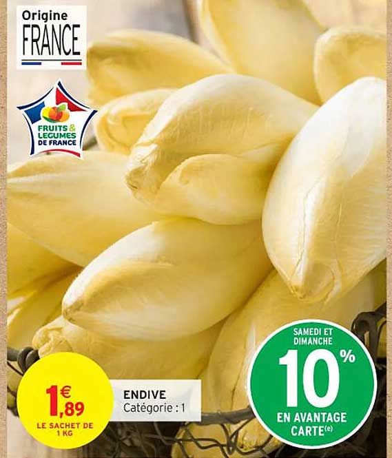 ENDIVE