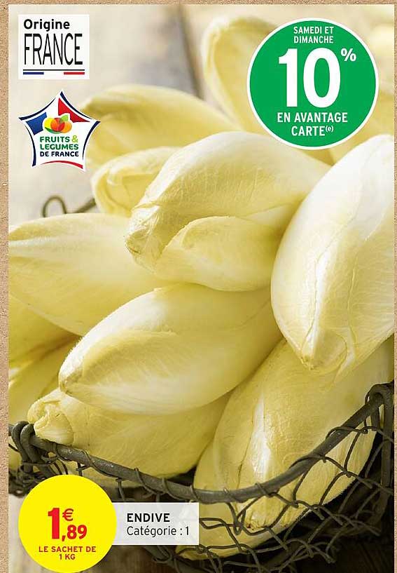 ENDIVE