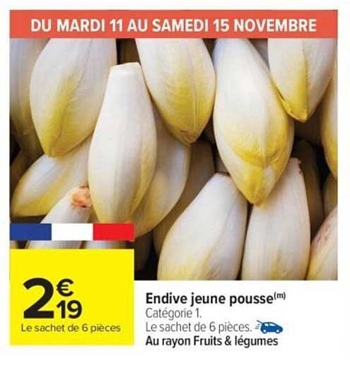 Endive jeune pousse
