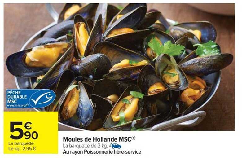 Moules de Hollande MSC