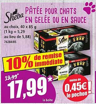 Pâtée pour chats en gelée ou en sauce