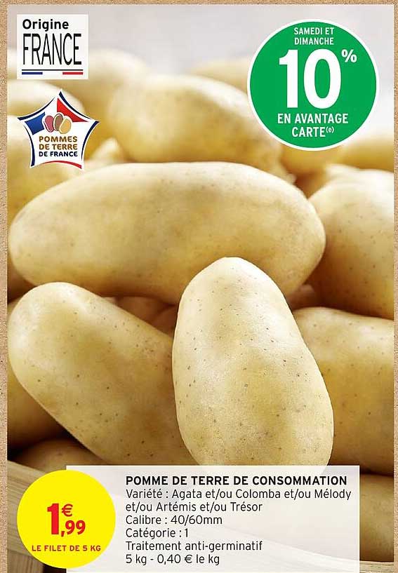 POMME DE TERRE DE CONSOMMATION