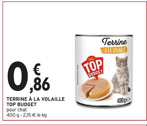 TERRINE À LA VOLAILLE TOP BUDGET