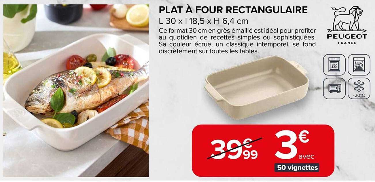 PLAT À FOUR RECTANGULAIRE
