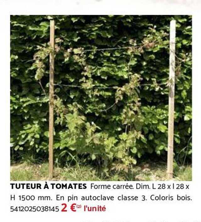 TUTEUR À TOMATES
