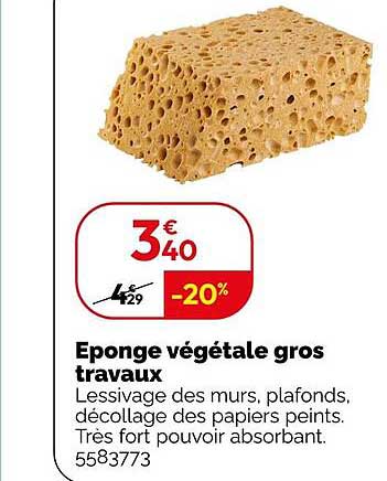 Eponge végétale gros travaux