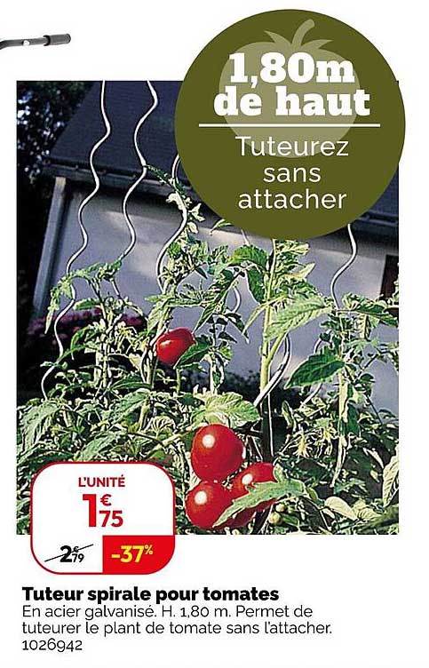 Tuteur spirale pour tomates