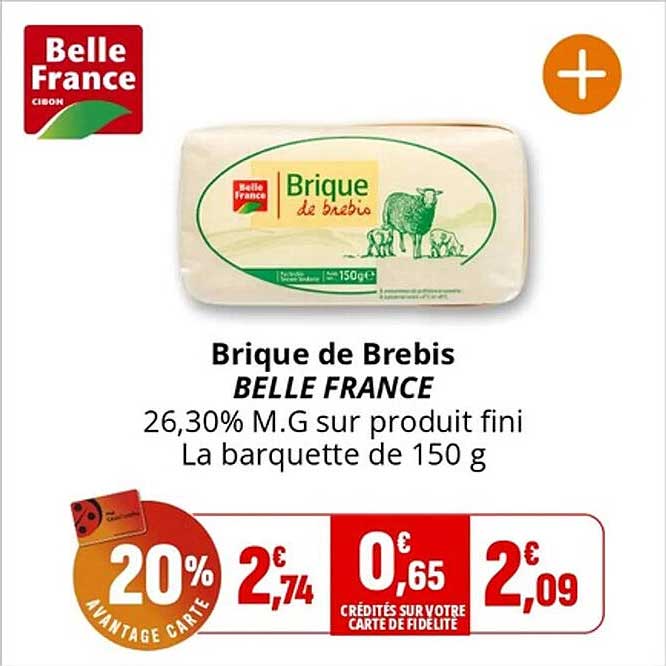 Brique de Brebis
