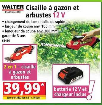 Cisaille à gazon et arbustes 12 V