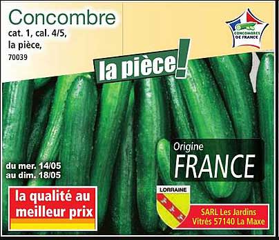 Concombre cat. 1, cal. 4/5, la pièce