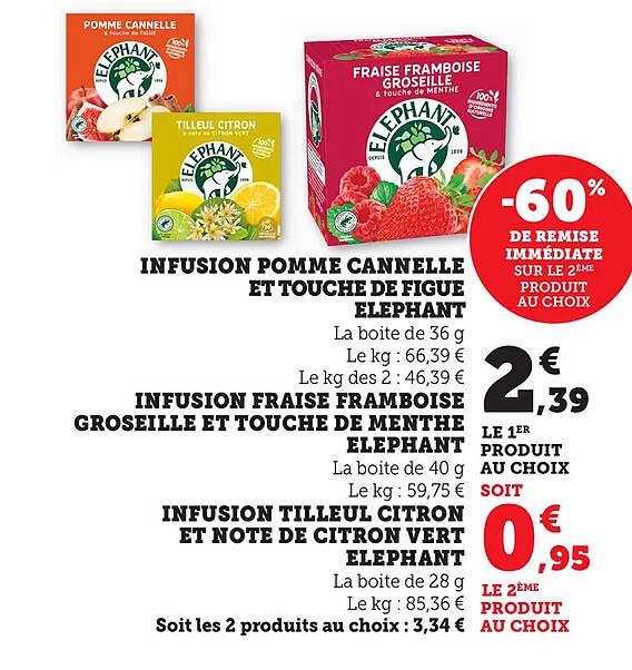 Infusion Fraise Framboise Groseille et Touche de Menthe Éléphant