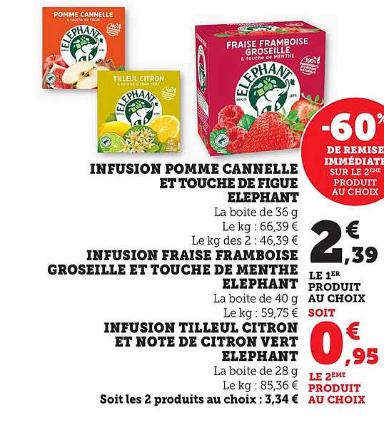 INFUSION FRAISE FRAMBOISE GROSEILLE ET TOUCHÉ DE MENTHE ÉLEPHANT