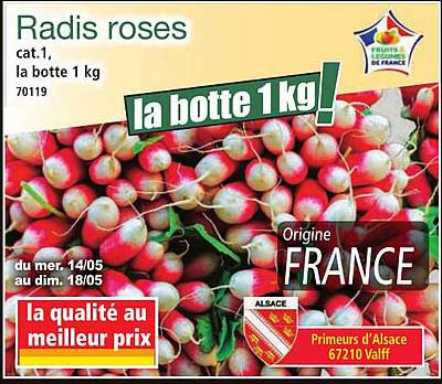 Radis roses