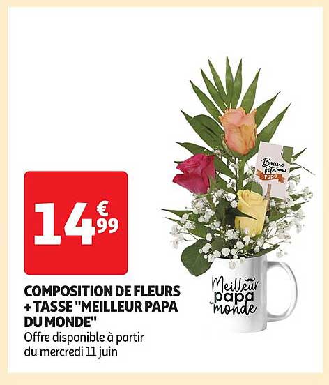 COMPOSITION DE FLEURS + TASSE "MEILLEUR PAPA DU MONDE"