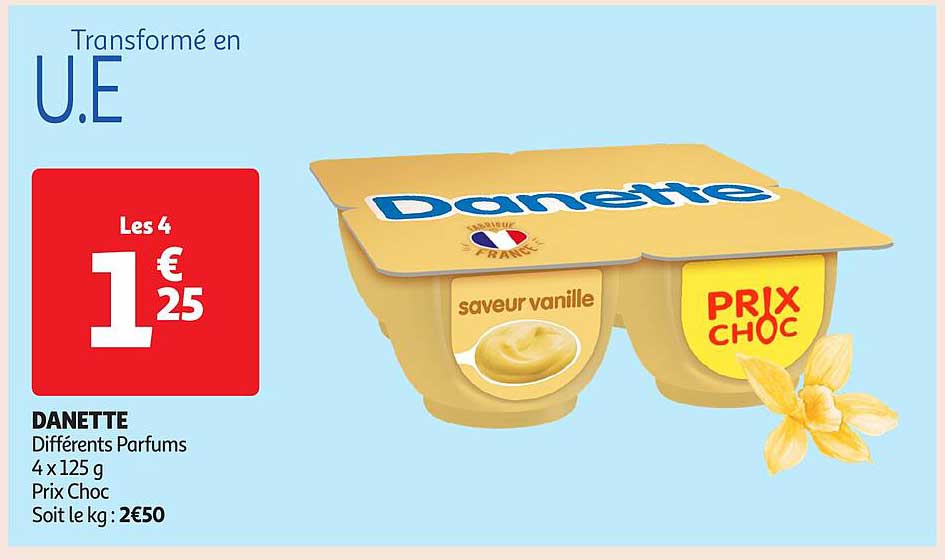 DANETTE Différents Parfums 4 x 125 g