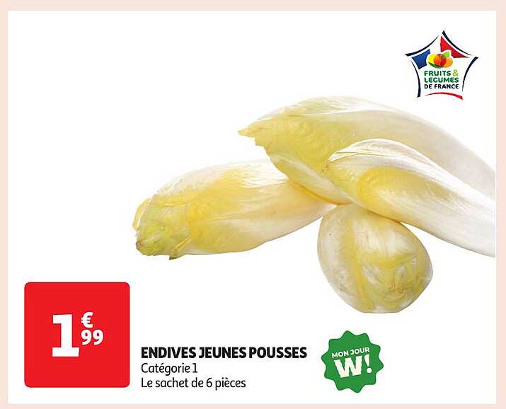 ENDIVES JEUNES POUSSES
