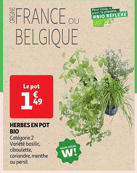 HERBES EN POT BIO