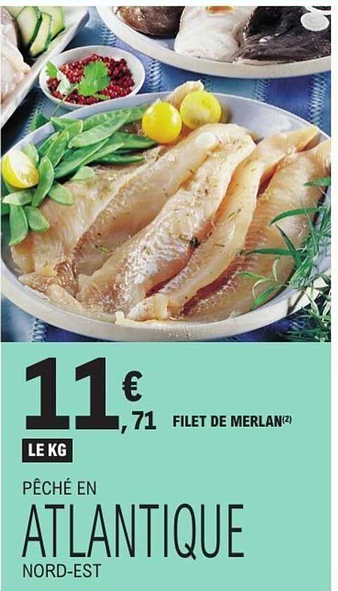 FILET DE MERLAN(2)