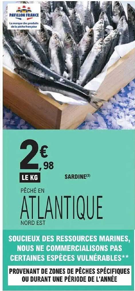SARDINE