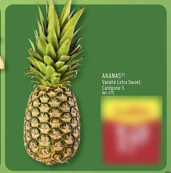 ANANAS(C) Variété Extra Sweet