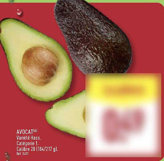 AVOCAT(A) Varieté Hass.