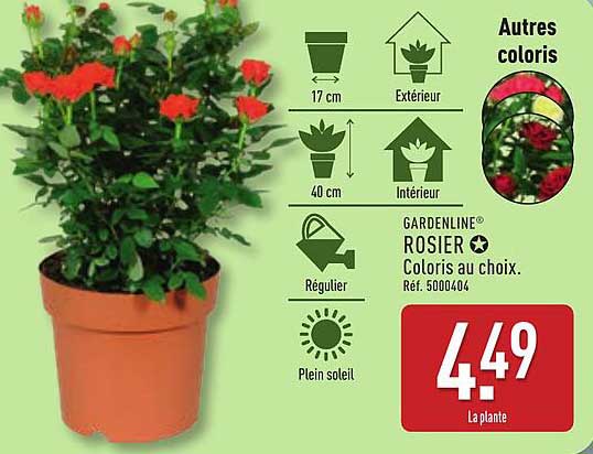 GARDENLINE® ROSIER Coloris au choix.