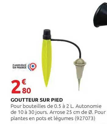 GOUTTEUR SUR PIED