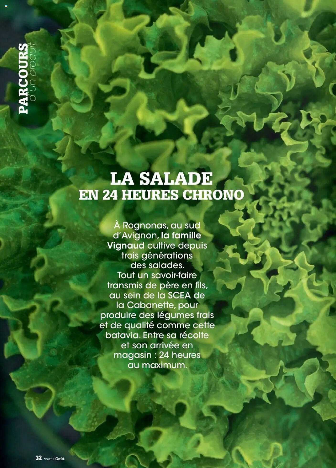 LA SALADE EN 24 HEURES CHRONO