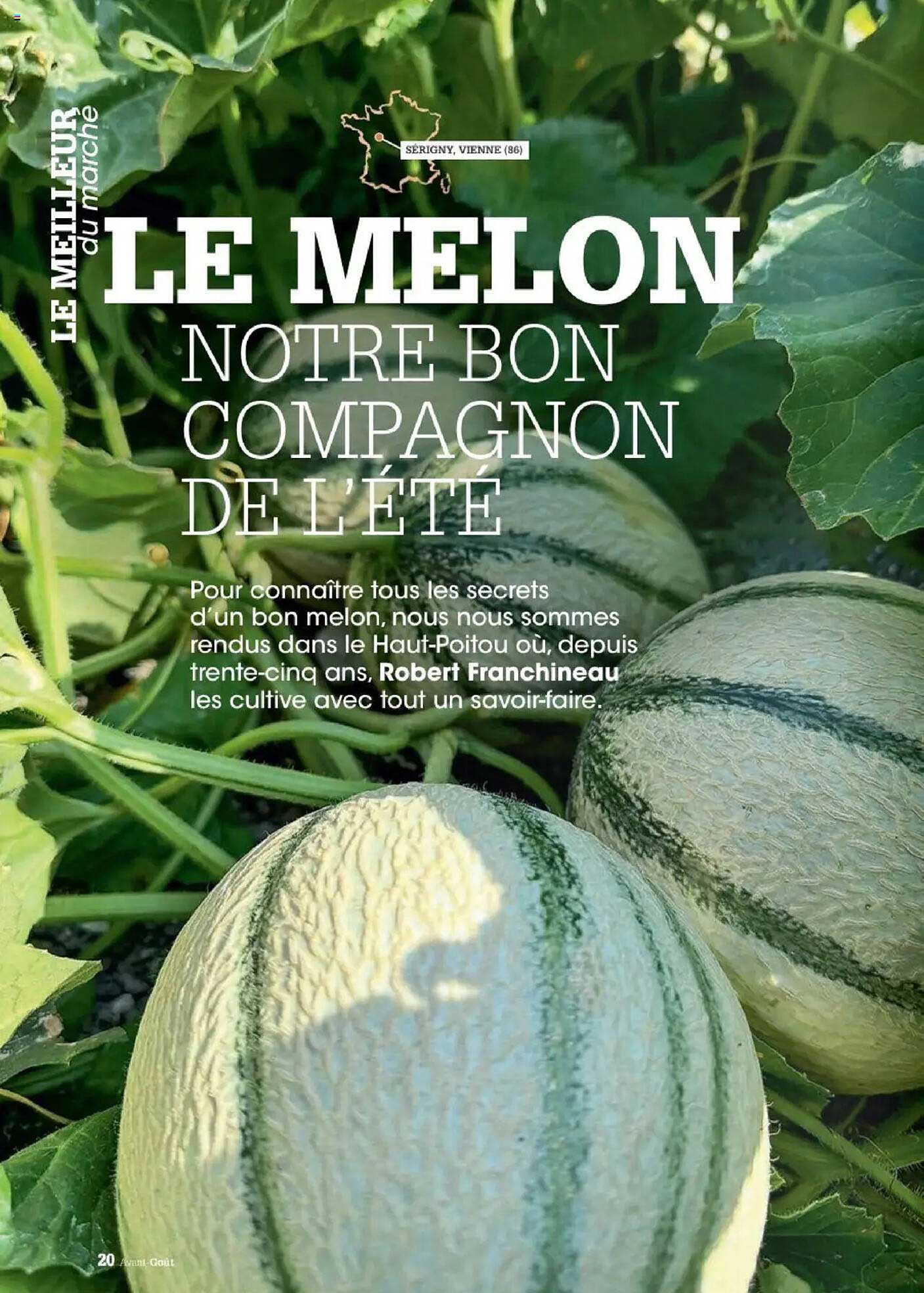 LE MELON NOTRE BON COMPAGNON DE L'ÉTÉ
