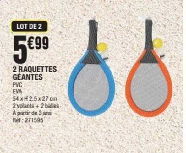 LOT DE 2 RAQUETTES GÉANTES