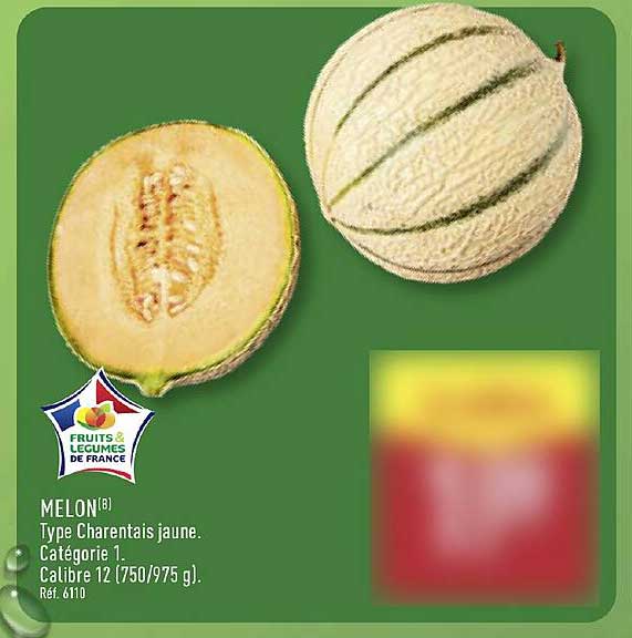MELON Type Charentais jaune. Catégorie 1.