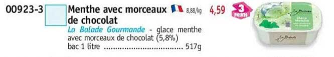 Menthe avec morceaux de chocolat
