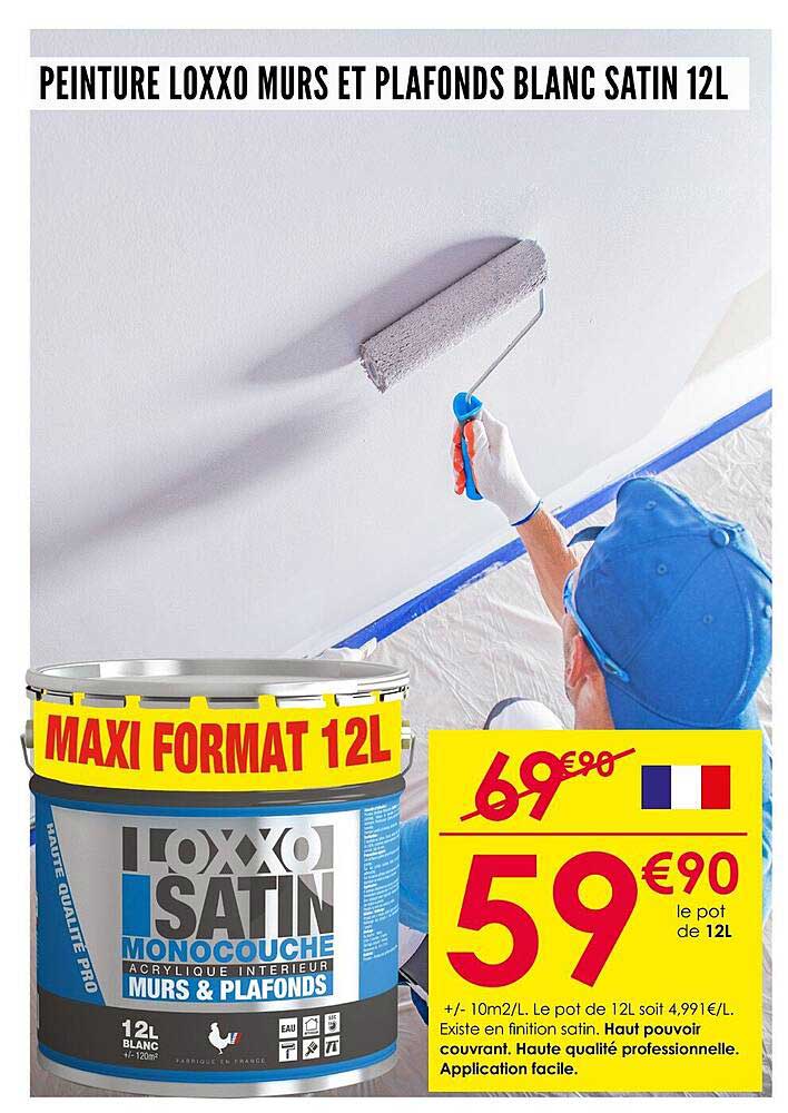 PEINTURE LOXXO MURS ET PLAFONDS BLANC SATIN 12L