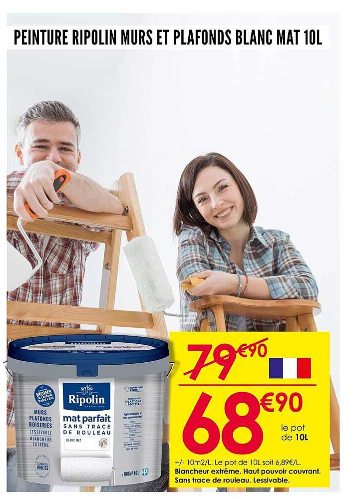 PEINTURE RIPOLIN MURS ET PLAFONDS BLANC MAT 10L