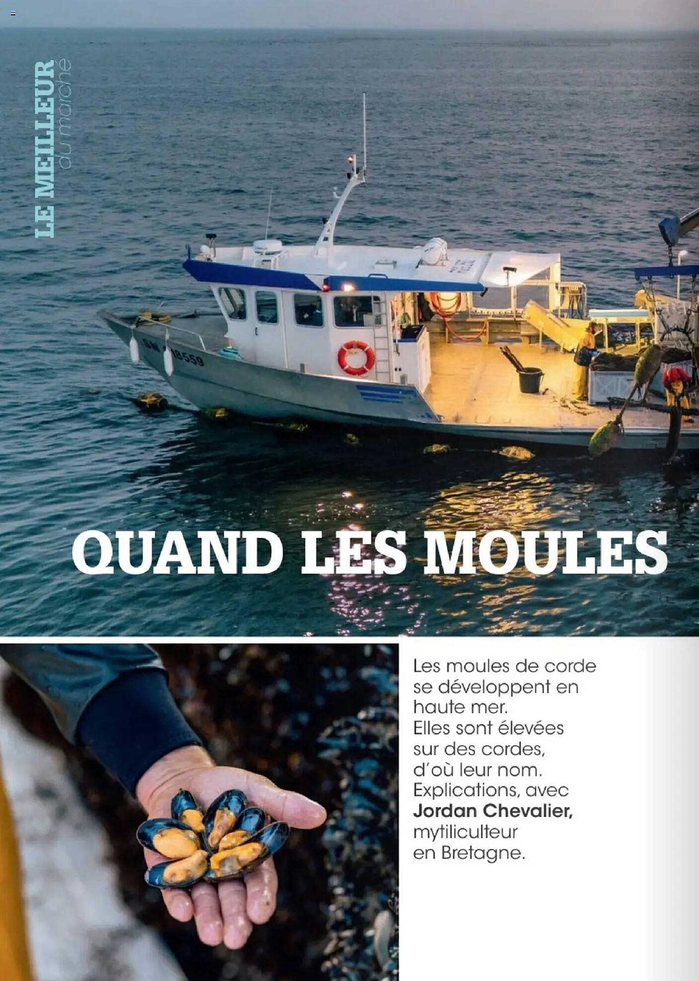 Quand les moules
