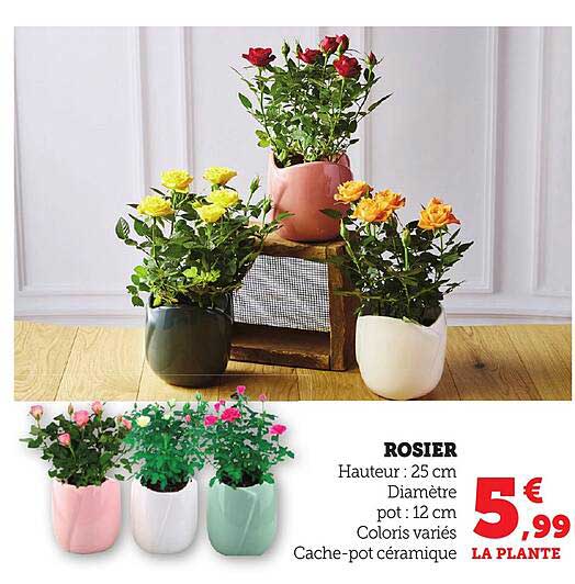 ROSIER