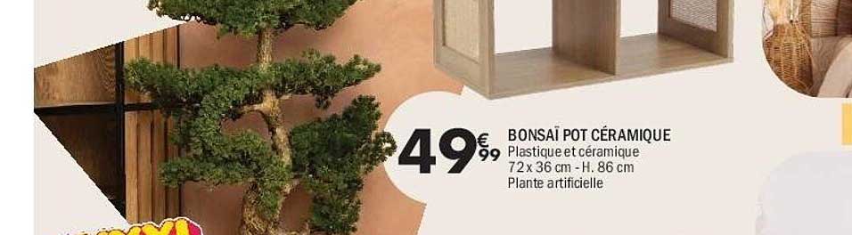 BONSÀI POT CÉRAMIQUE