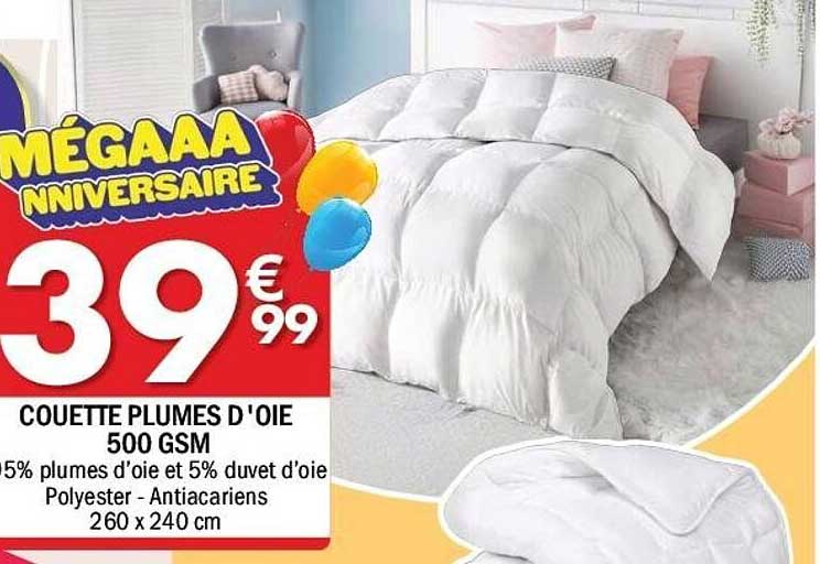 COUETTE PLUMES D'OIE 500 GSM