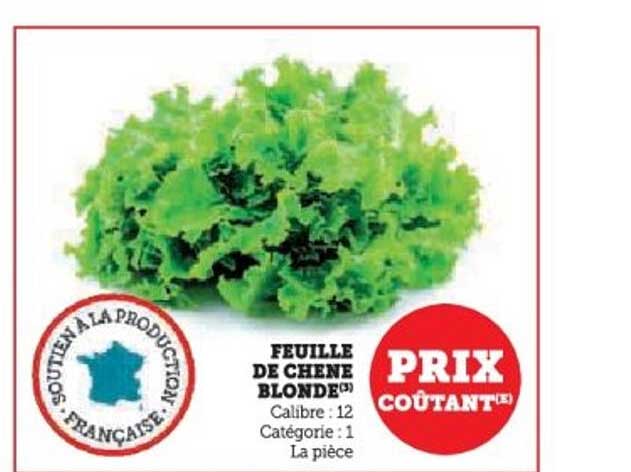 FEUILLE DE CHENE BLONDE