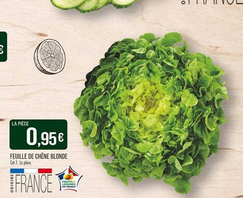Feuille de chêne blonde - La pièce