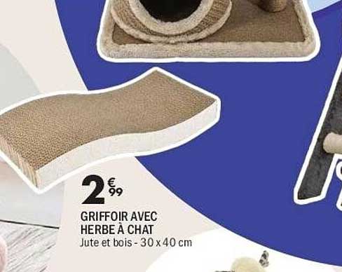 GRIFFOIR AVEC HERBE À CHAT