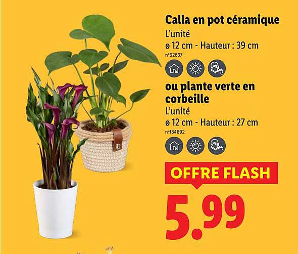 OFFRE FLASH