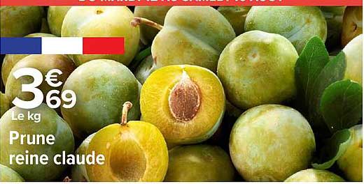 Prune reine claude