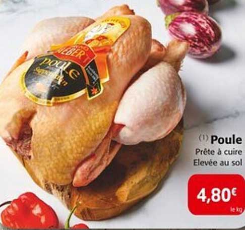 Poule prête à cuire élevée au sol