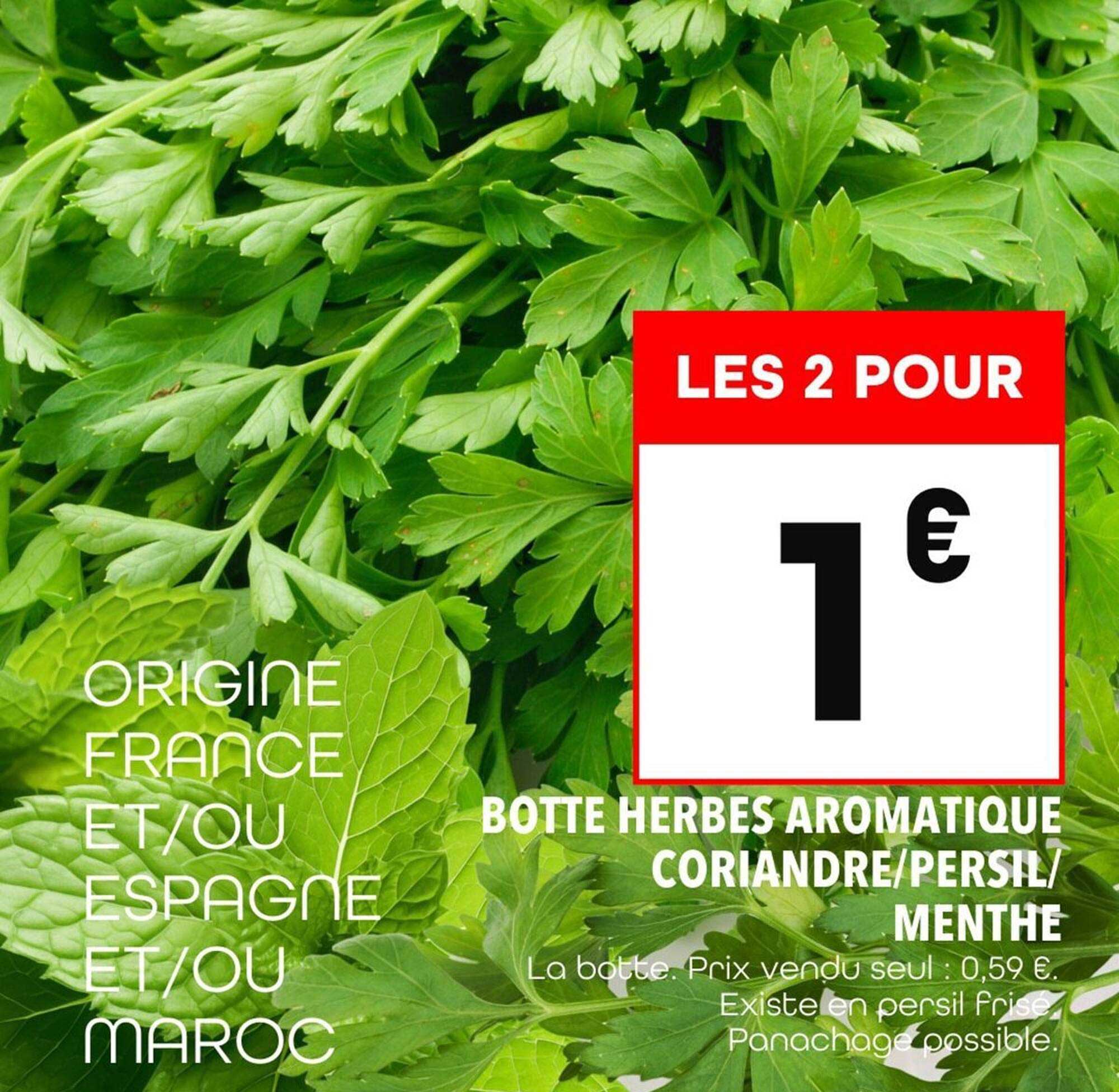 Botte herbes aromatiques Coriandre/Persil/Menthe