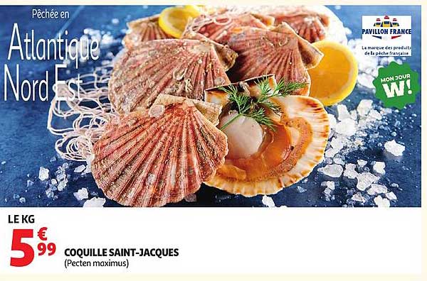 Sitemapcdatahttpsmodeinf Inetcomcoquille Saint Jacques Auchan
