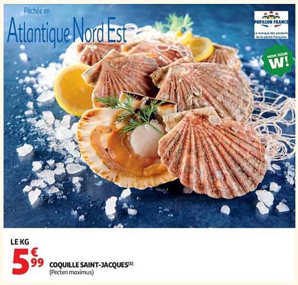 Sitemapcdatahttpsmodeinf Inetcomcoquille Saint Jacques Auchan