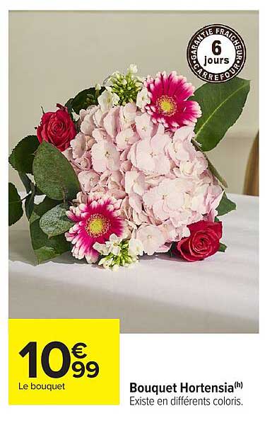 Bouquet Hortensia(h)