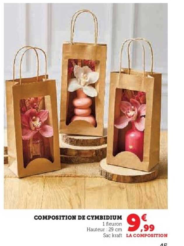 COMPOSITION DE CYMBIDIUM